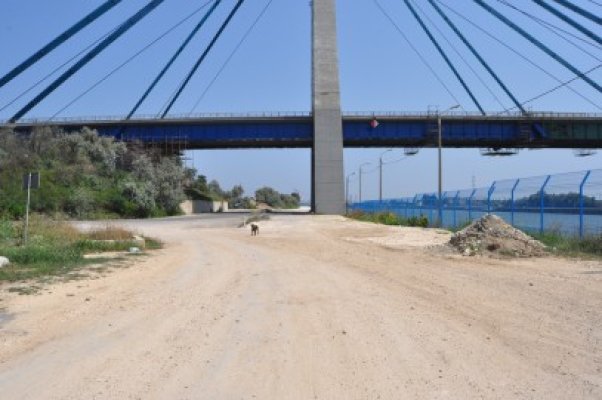 Descoperire şocantă la Agigea: un tânăr de 26 de ani s-a sinucis aruncându-se de pe pod